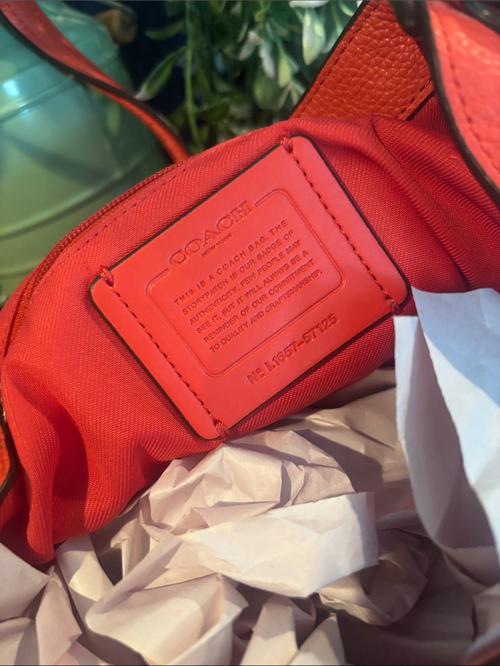Coach Edie Shoulder Bag - Picture 10 of 10